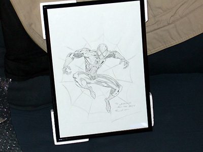 my framed autographed hand-drawn Spider-Man picture