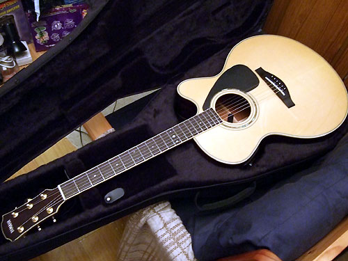 Customised guitar